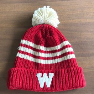 Wisconsin Badgers stitched winter hat